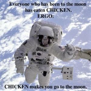 chicken-astronaut