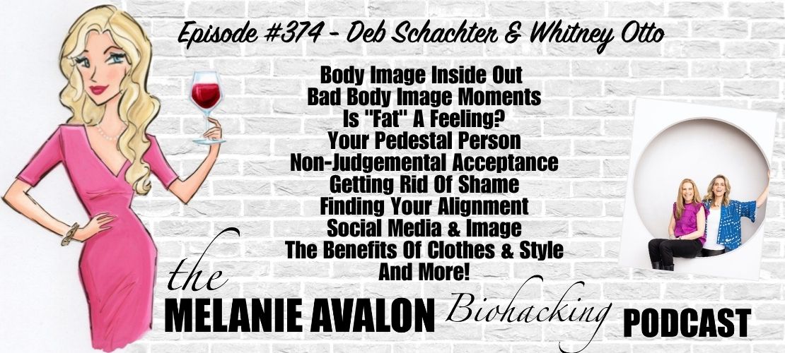 #374 - Deb Schachter & Whitney Otto Campaign Artwork